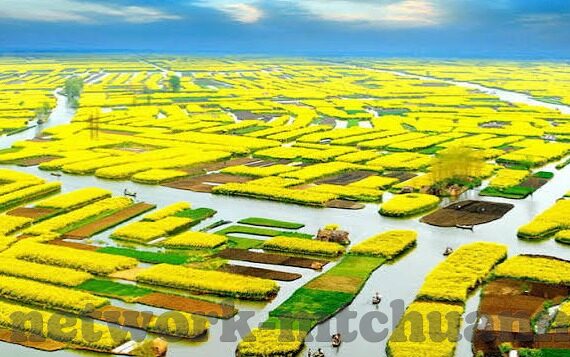 国产AV巨作麻豆传媒-国产AV巨作，麻豆传媒的独特魅力和影响探讨